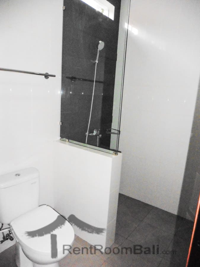 ayu love & harmony-studio-sanur-11 Ayu Love and Harmony Studios – Sanur