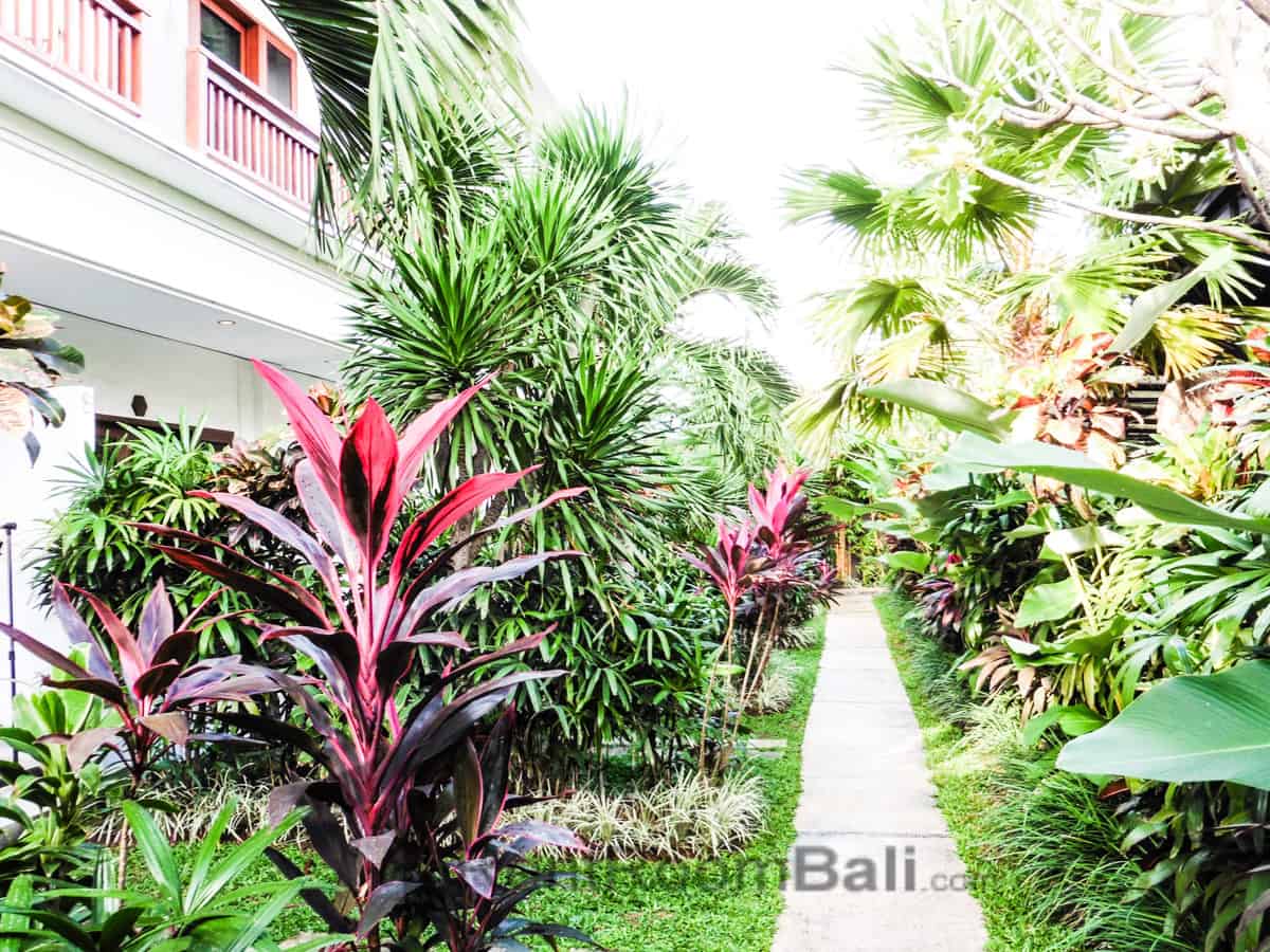 kubu rajapala-studio-seminyak-2 Kubu Raja Pala Studios – Seminyak