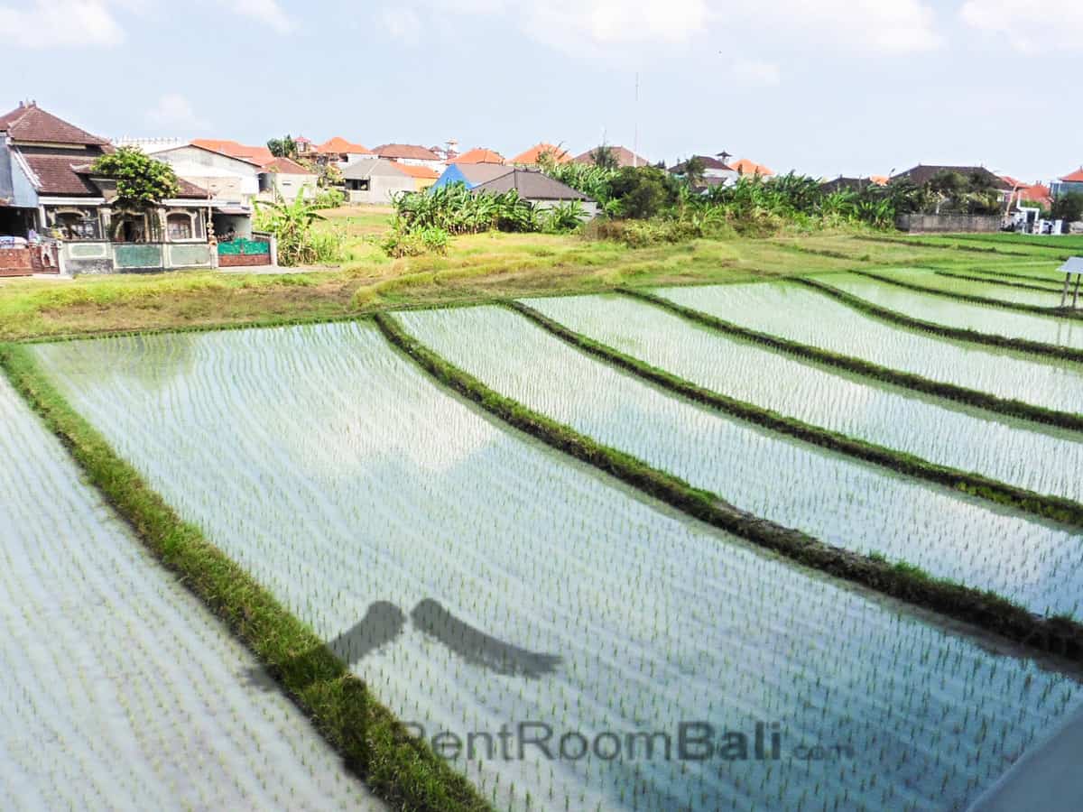 Puri Anyar Studios – Kerobokan