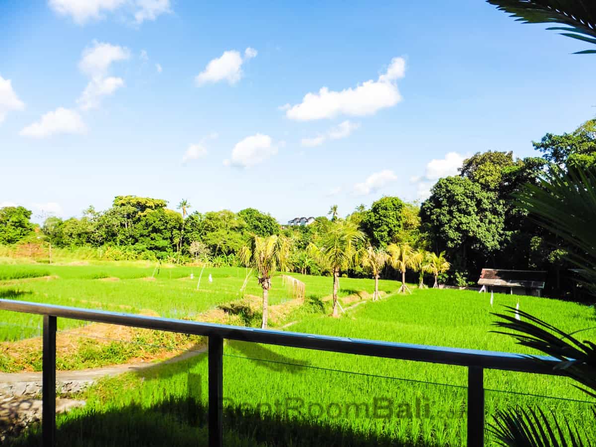 Kubu Studios – Kerobokan