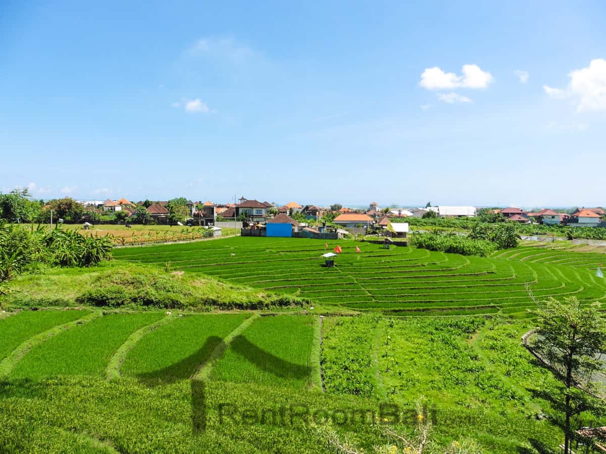 Grandpa Studios – Canggu