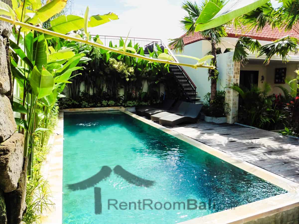 Rimba Bird Studios – Canggu