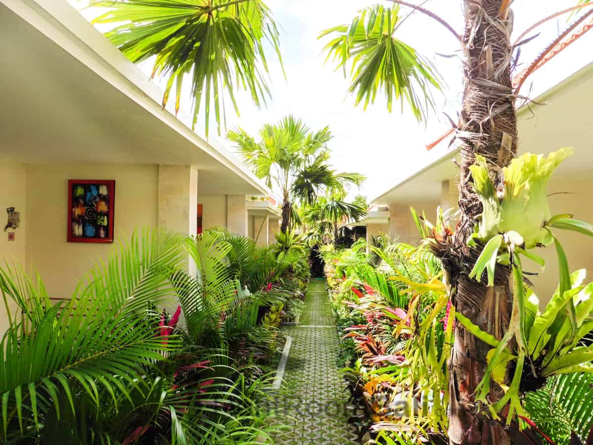 Rimba Bird Studios – Canggu