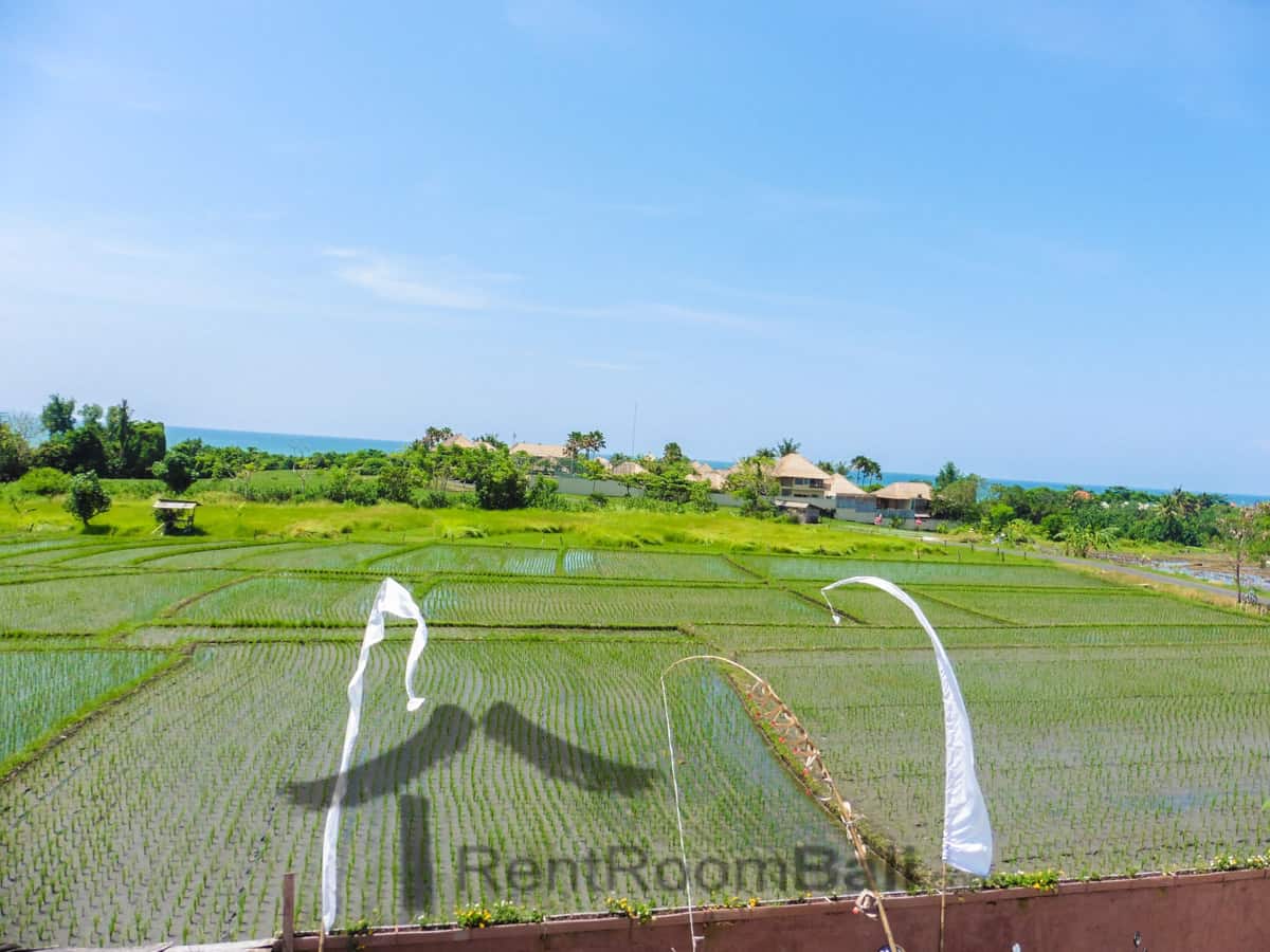 Kubu Kutus Studios – Canggu