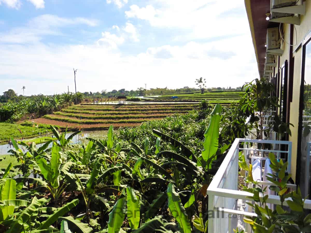 North Wing Studios – Canggu