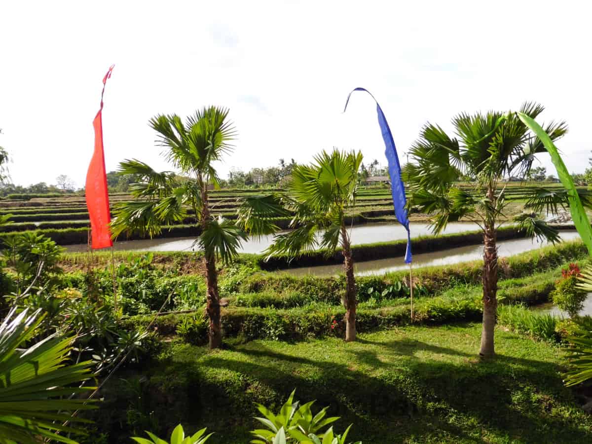 North Wing Studios – Canggu