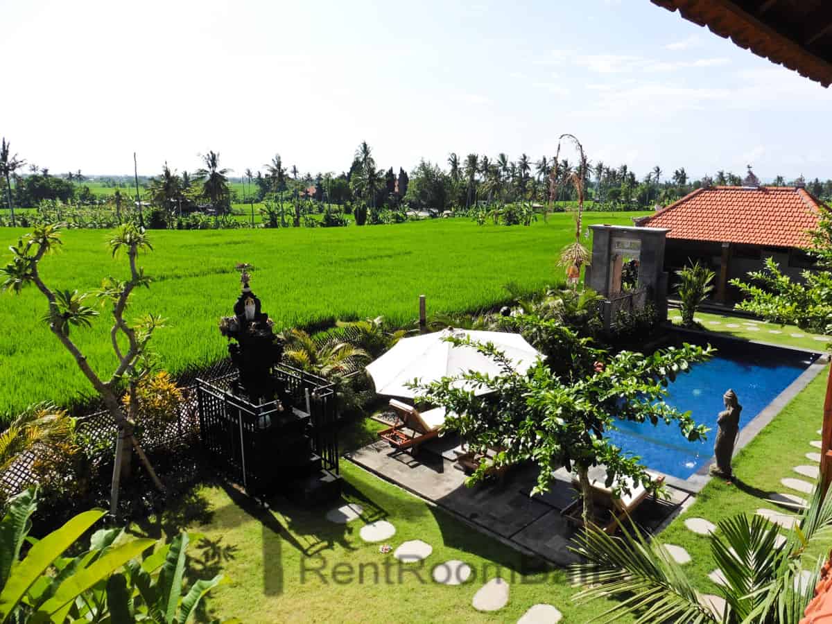 D’ Jineng Studios – Canggu
