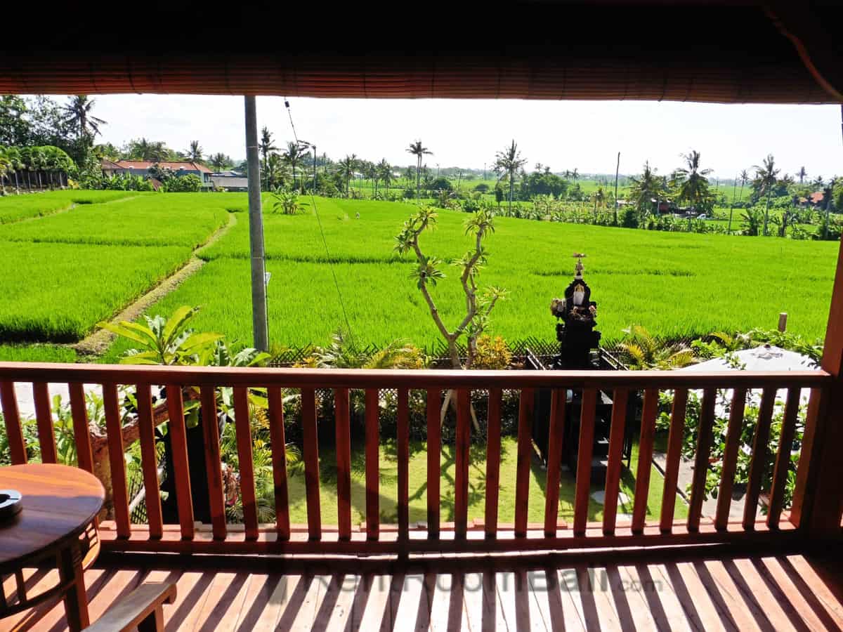 D’ Jineng Studios – Canggu