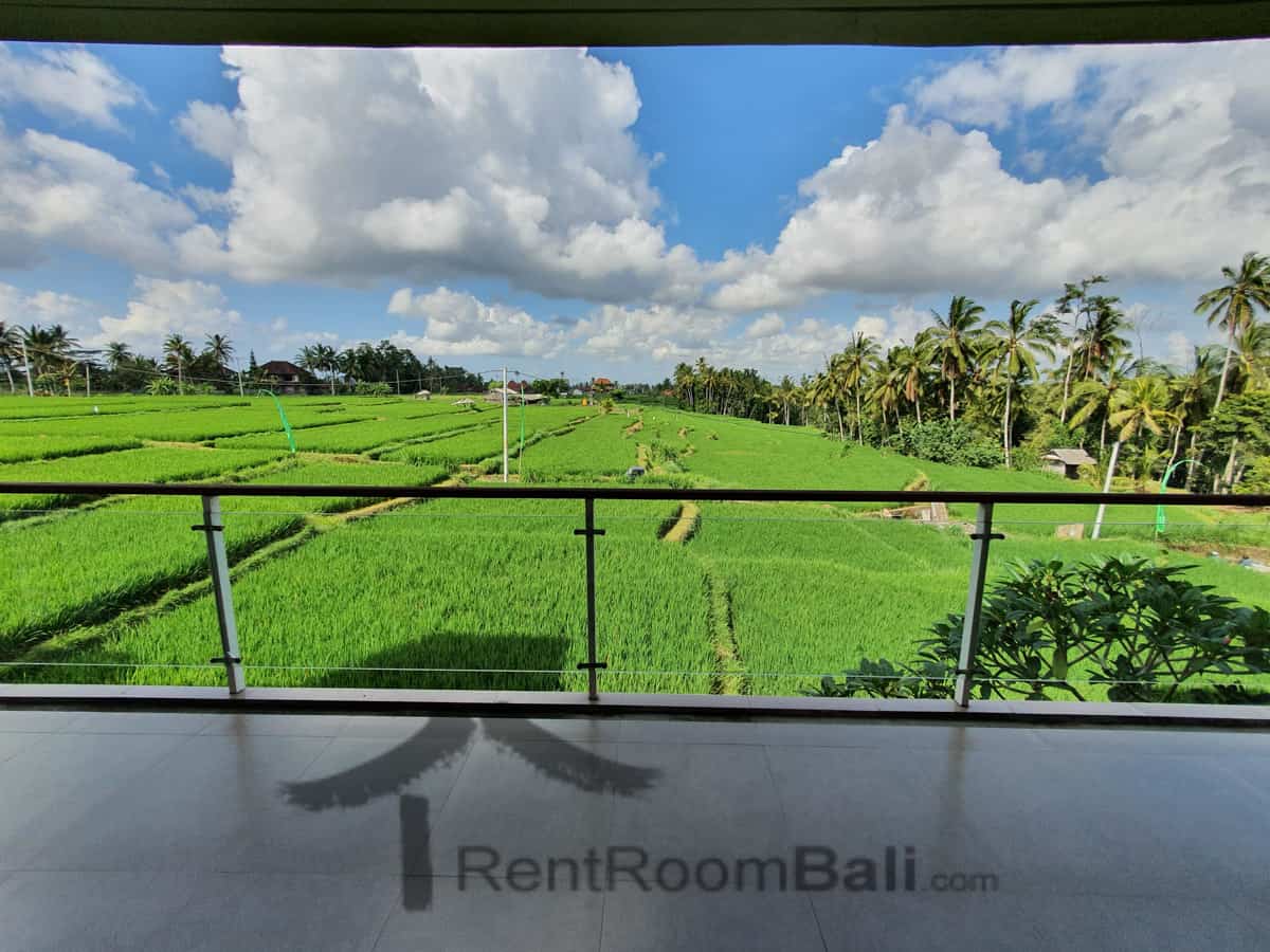 Green Fields Villas in Ubud Bali