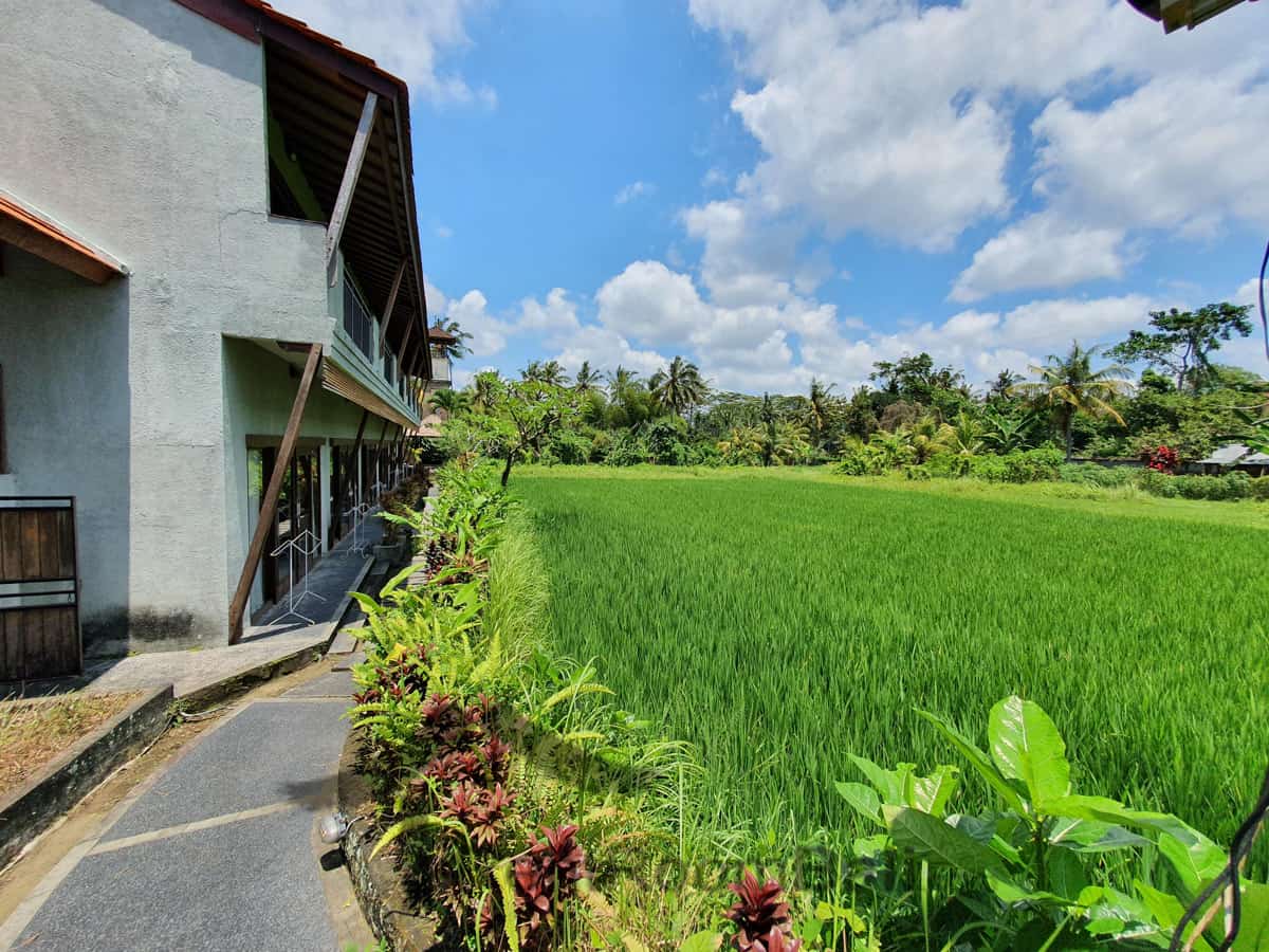 Aniniraka Studios – Ubud