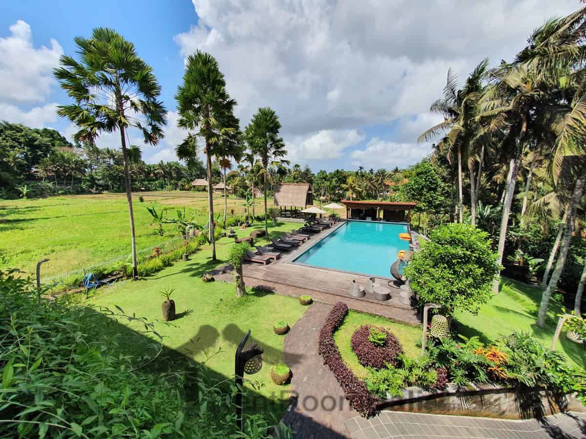 the artini dijiwa-studio-ubud-1 The Artini Dijiwa Studios in Ubud Bali