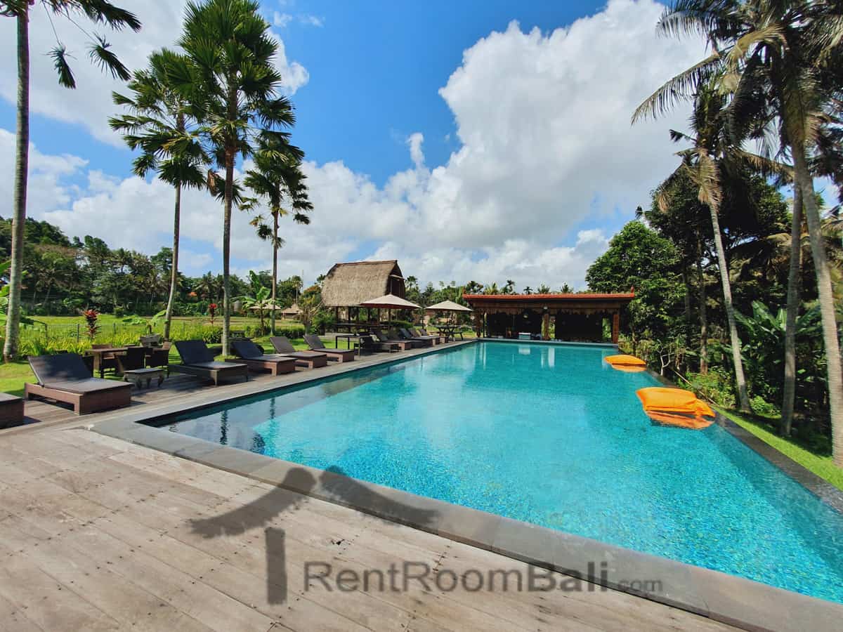 the artini dijiwa-studio-ubud-2 The Artini Dijiwa Studios in Ubud Bali