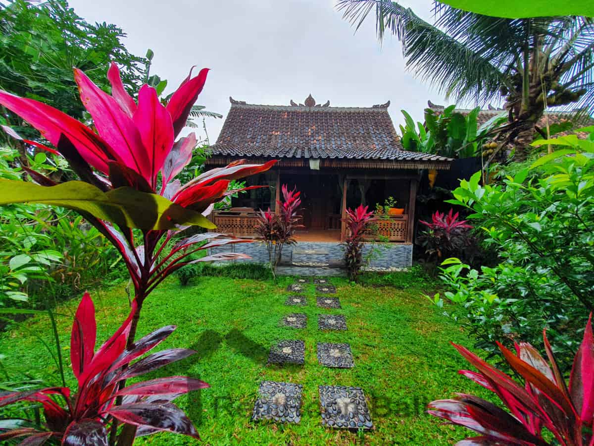 Pondok d'alas Studios in Ubud Bali