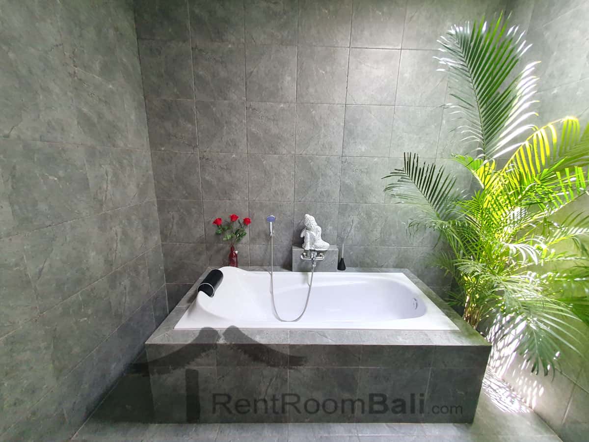 Arte 2 Villa in Kerobokan