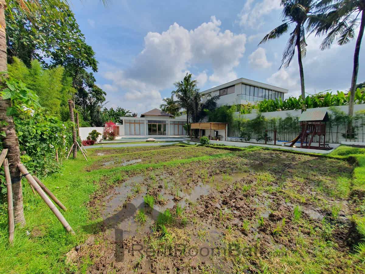 Green Villa in Cepaka Bali