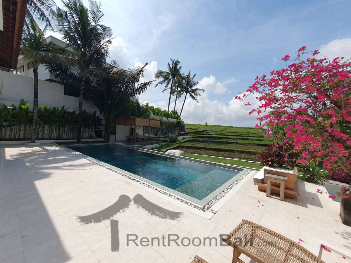 Green Villa in Cepaka Bali