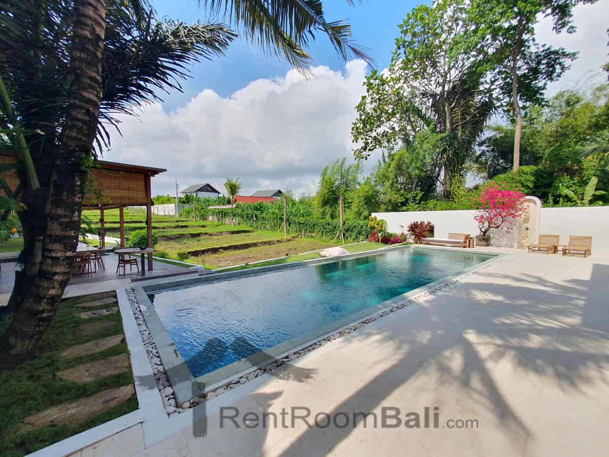 Green Villa in Cepaka Bali