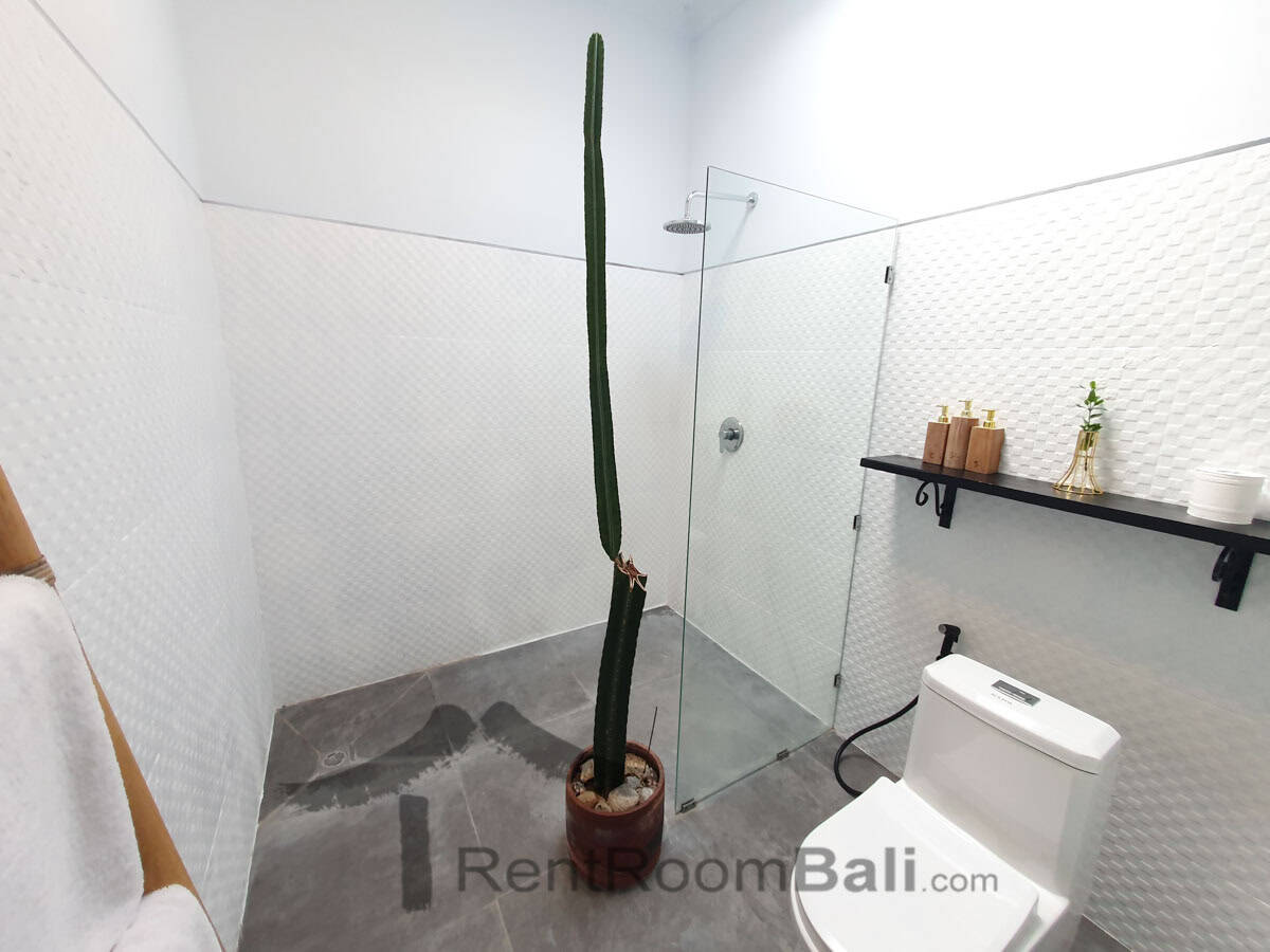 ololoca villa canggu